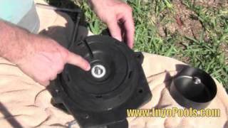 How to: Replace a Pool Pump Motor