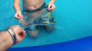 Easy way to find a leak in your inflatable ring Intex pool with plastic wrap