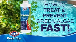 Treating and preventing Green Algae: Clorox® Pool&Spa™