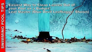 Easiest Way to Clean Leaves Out of your Pool on a Budget! Using a Leaf Master
