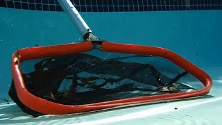 ProTuff 19" Swimming Pool Leaf Rake with 100% Lifetime Guarantee