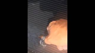 How to repair a solar pool panel. FAFCO.